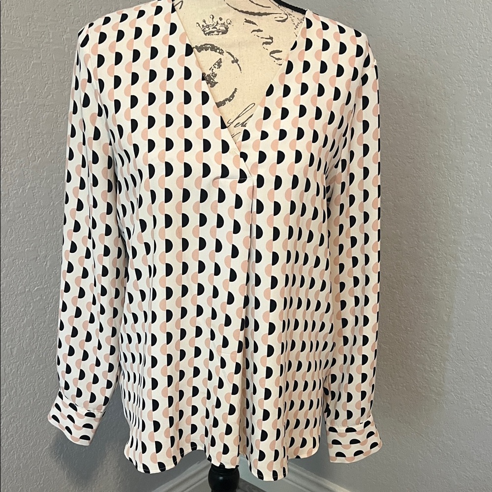 Ann Taylor Polka Dot V-Neck Blouse in Blush and Black